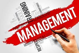 Management